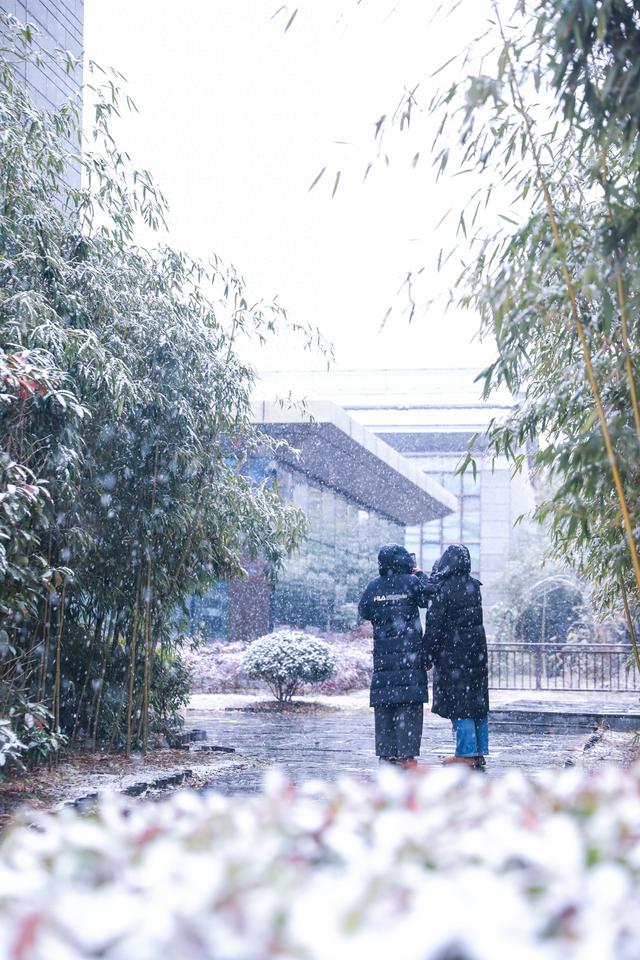 不负等待！高岭文化村终于下雪啦