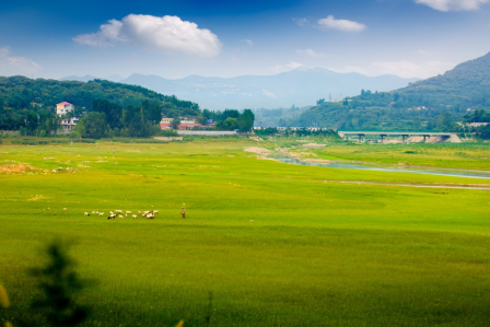 泰安黄前镇：一半山水清欢，一半文化沉香