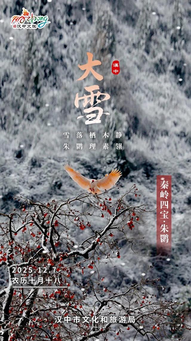 大雪 | 汉中雪盛时,鸥鸣雪舞共欢腾
