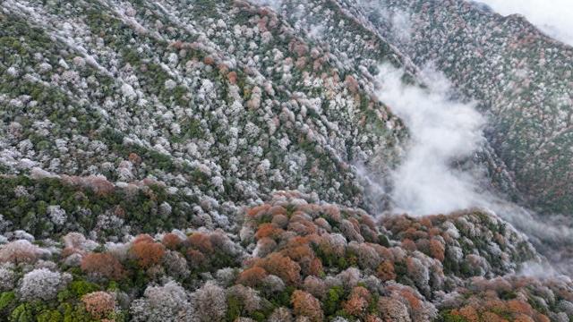 银装素裹梵净山