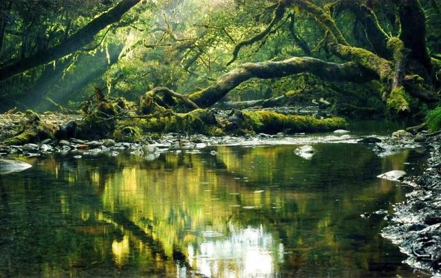 他初中毕业后终身不婚，荒野舍命工作20年，被一群博士封神