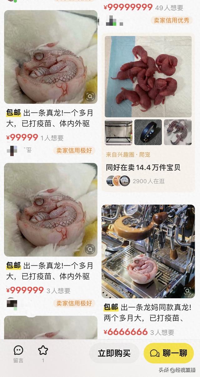 “齐白石的虾”“大鲨雕”闲鱼抽象商品引吐槽，卖家：AI 生成仅博一笑，不发货！平台：可举报处理