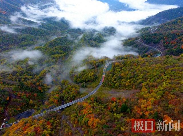 解锁“五彩秋韵”和“冰雪狂欢”，神农架秋冬游进入“黄金窗口期”