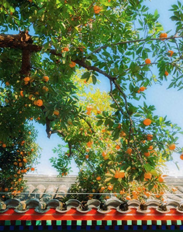 为啥有人越活越通透？3个“保命级”快乐思维，看完想转给所有人