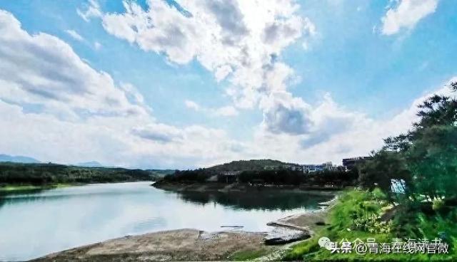 【青海在线网·散文】把岁月雕刻成诗
