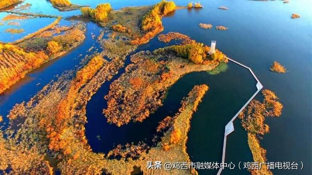 【镜头里的鸡西】鸡西这些“勾魂”美景，美到窒息！你打卡过几个？