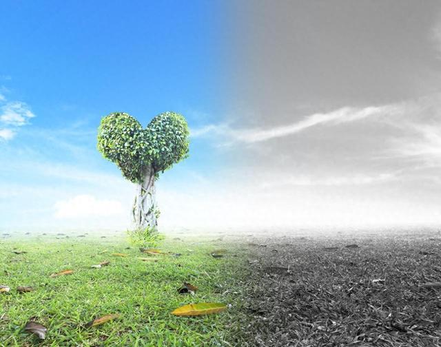 科学家警告：气候变化将导致本世纪末近一半海滩消失