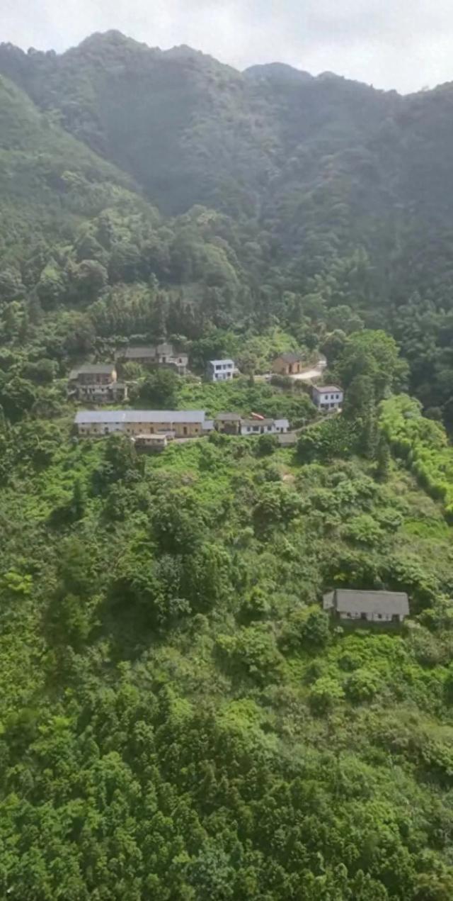 探访韶关深山老林目前无人居住的小村庄，周围杂草丛生，一片荒芜