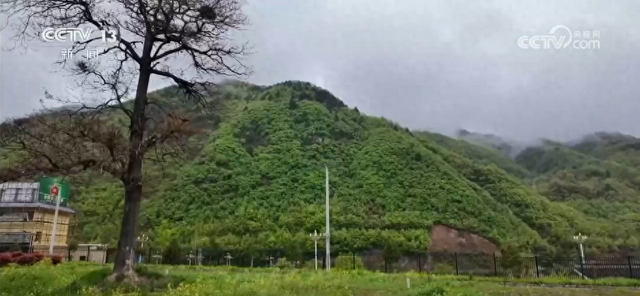 “小慢车”承载民生“大希望” 为文旅融合发展注入“春日活力”