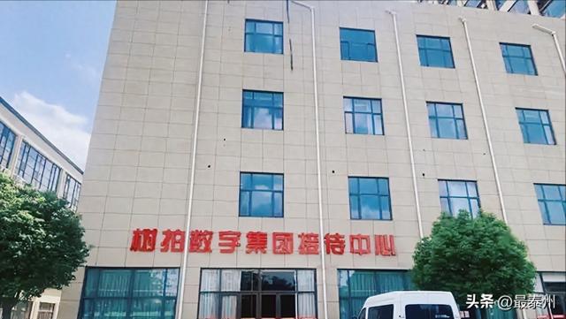 山东 “树拍易购” 暴雷！有人卖房投钱，血本无归太坑人