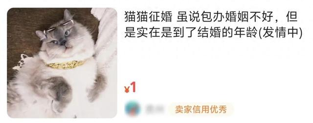 最近闲鱼上的一个新功能，把所有卖家给整破防了