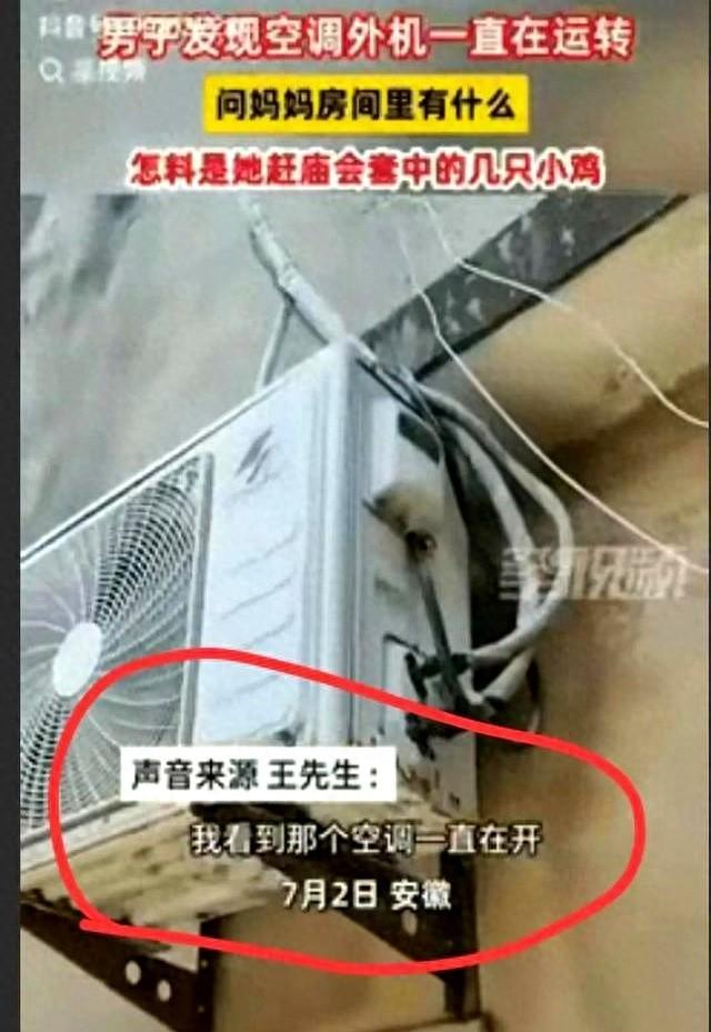 有钱就是任性。安徽一女子因天气热，担心楼上养的四季小鸡被热死
