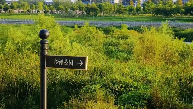 朋友来吧！一起打卡美丽的泌阳沙滩公园......