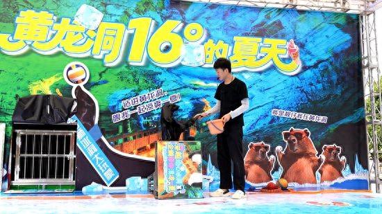 企鹅、海狮、水豚齐相聚 张家界黄龙洞景区“萌宠避暑季”正式开启