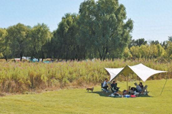 绿心公园5年超1500万人次造访