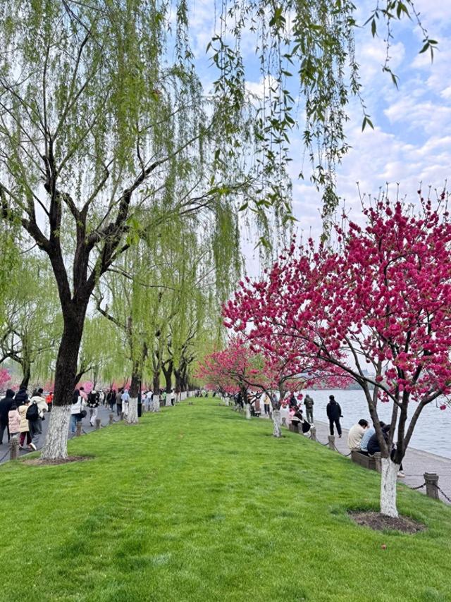 世界上只有中国浙江省杭州市才有的全球 “独一无二的10大奇景”