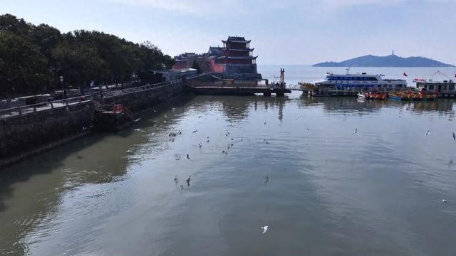 限时上线！合肥这里又藏不住了