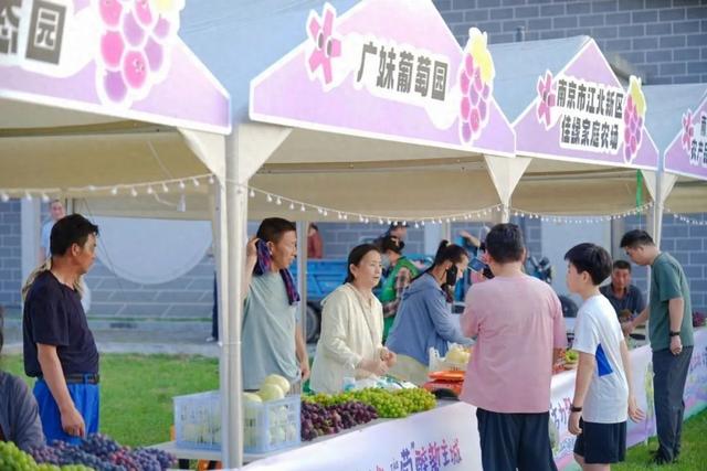 又到一年果香时！来盘城，不止葡萄采摘