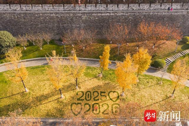 南京城墙下的银杏叶被拼成“2025爱2026” 成网红景点引市民游客排队打卡