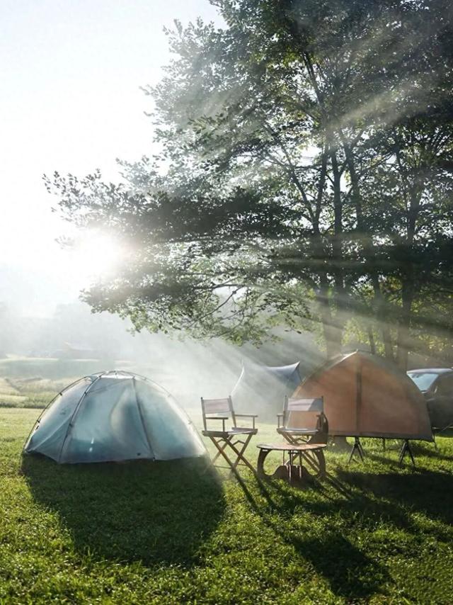 抓住新津这个秋天，去白鹤滩解锁“帐篷听雨”的顶级浪漫