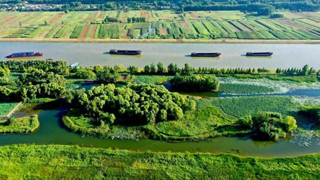 运河新韵丨千年大运河变身“绿色长廊”