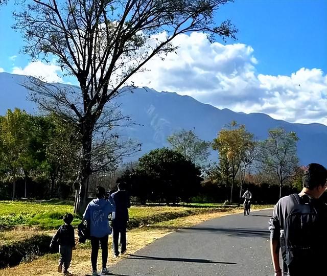 不当旅游大冤种！逃离人挤人，爱上年轻人的“拼好团”
