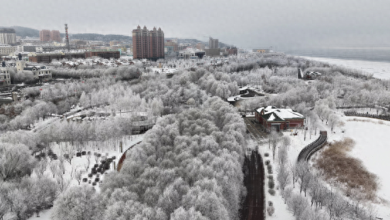 黑龙江抚远：雾凇漫染东极 素韵倾城如画