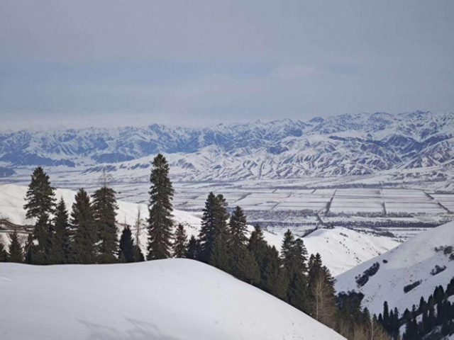 夏季不缺游客的赛里木湖、那拉提景区，也开始“卷”冬季旅游了