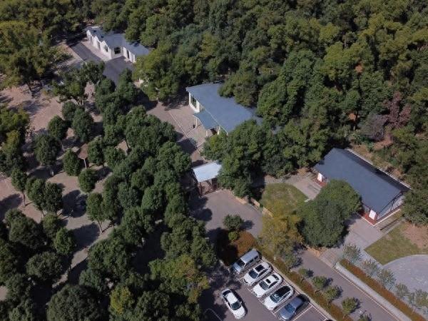 就在14日！首届“Yue东湖”森林烧烤音乐会即将启幕