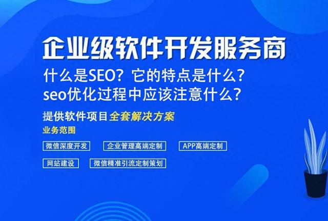 seo描述（什么是SEO它的特点是什么 seo优化过程中应该注意什么）