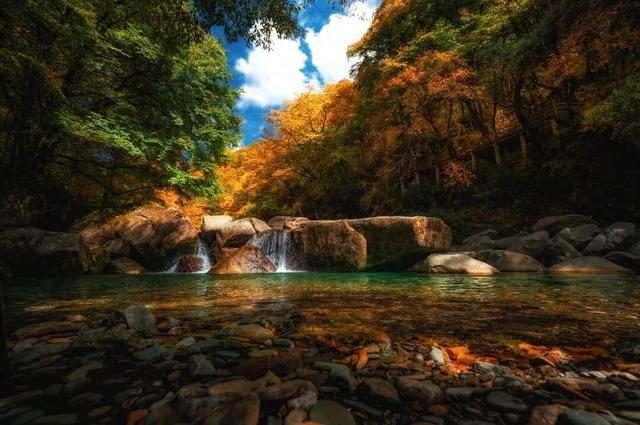 光雾山红叶节：2小时直达的“家门口红叶盛宴”