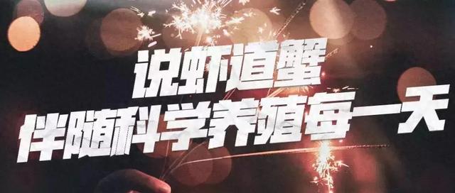 锦鲤吸水什么意思（锦鲤繁殖的5个小常识）