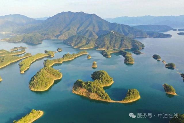 这座加油站是个“绿色站”