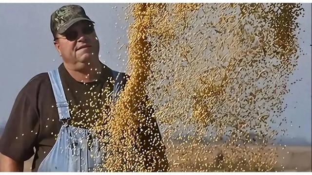 200万吨大豆烂港!巴西赌中国离不开它,却忘了中国早握3张王牌