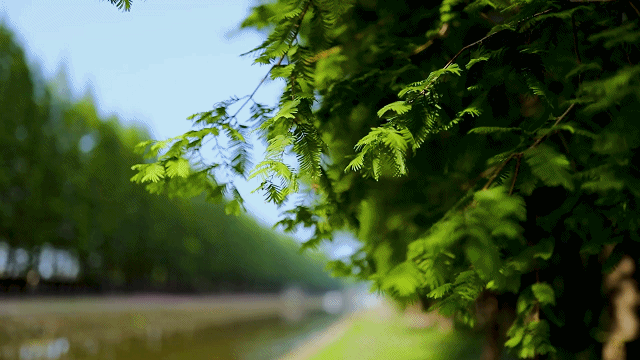 来六合，过个惬意的夏天！