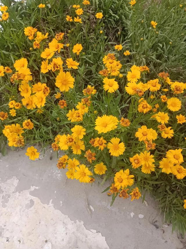 我的旅游计划