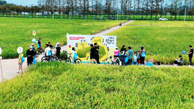 错过要等一年！椒江这片稻田封神了