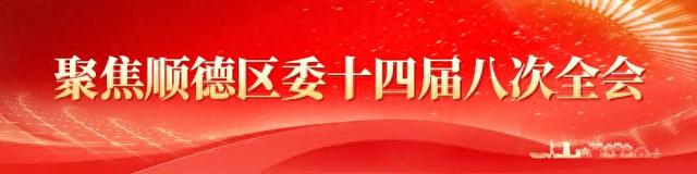 未来五年，顺德与世界的距离将如何改写？｜粤X有料