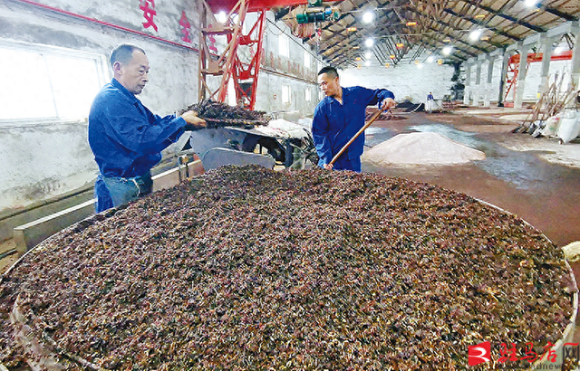 走进蔡洪坊 品味酒文化