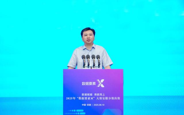 2025年“数据要素×”大赛安徽分赛决赛圆满收官