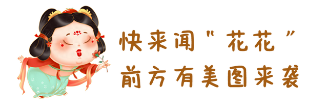 跟着滇超游昆明 | 歪歪歪！有“梅”有人告诉你，黑龙潭的梅花都开好了