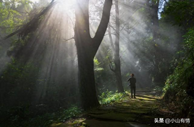 我在重庆北碚读了四年书，只爬过一次缙云山