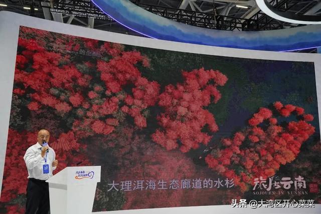 云南真是为游客操碎了心啊