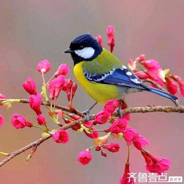 小朋友父亲节送爸爸的礼物有什么（父亲节送给父亲的礼物）