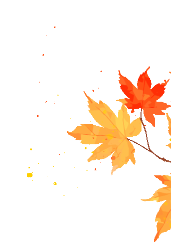 在榆次的公园里 尽享怡然时光