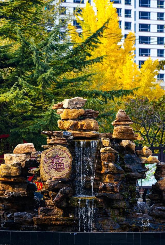 初冬时节，回眸临夏最后一抹绚烂