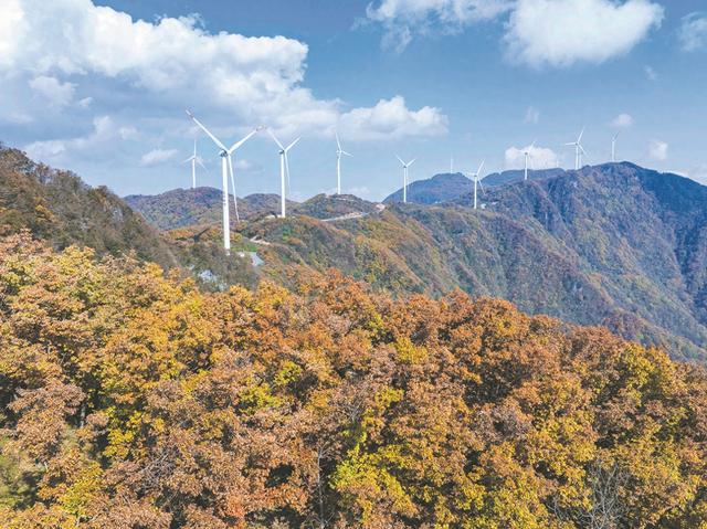 “风光”无限好