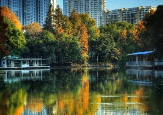 天山公园南区开放，本周上海文旅生活指南来了