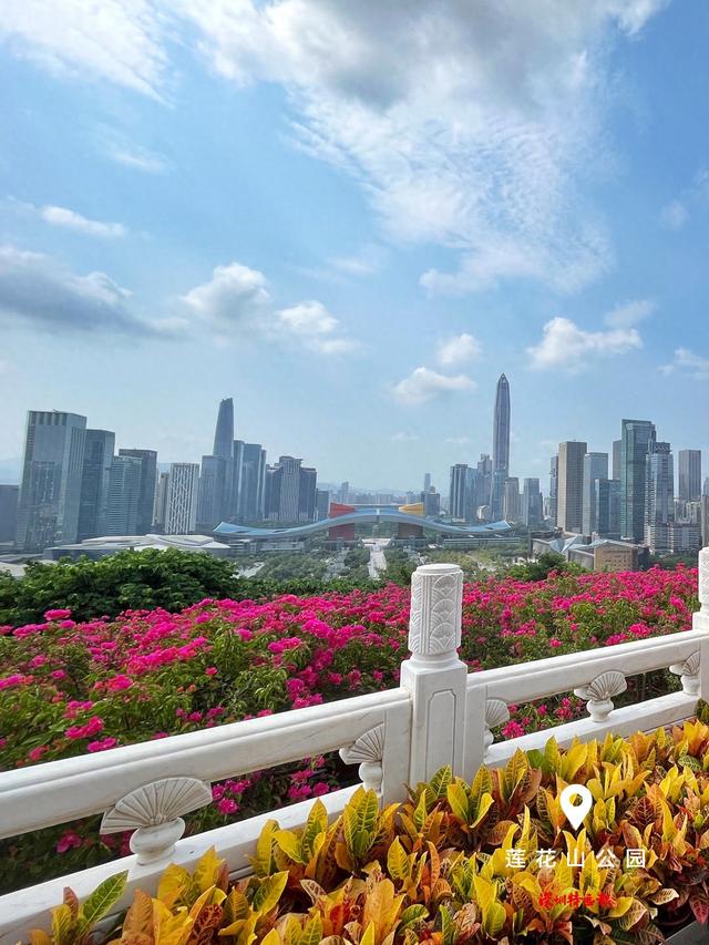 美丽深圳·每日一图｜2025年9月9日