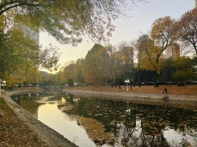 赏秋热,市公安交管部门发布出行攻略